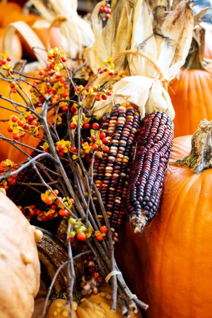 harvest festival